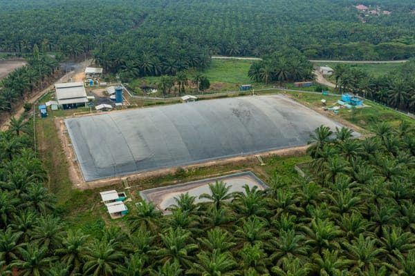 Pembangkitan Listrik dari Biogas POME: Kinerja Teknis yang Kuat dengan Profitabilitas yang Tipis
