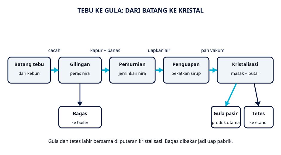 Alur tebu jadi gula pasir